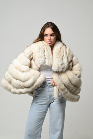 Volpe della Groenlandia 1469