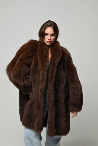 Volpe della Groenlandia 1523