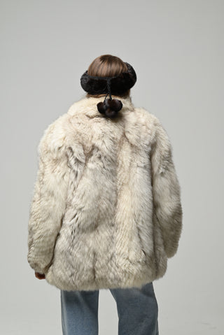 Volpe della Groenlandia 989