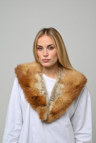 Collo in volpe 31