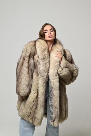 Volpe della Groenlandia 1483