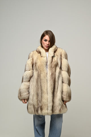 Volpe della Groenlandia 817