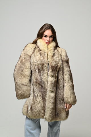 Volpe della Groenlandia 1480